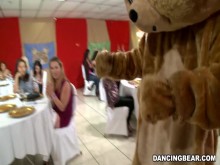 ¡Es hora de celebrar y festejar con el infame Dancing Bear! (db9822)