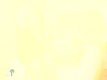 Milf maduro con gran culo folla y chupa polla en nannycam en Airbnb