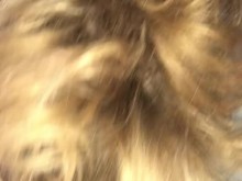 ¡Gossiping y hablando todo el día! ¡Esa es mi pequeña boca atrevida!  Todavía me jodo con ella. Jk????