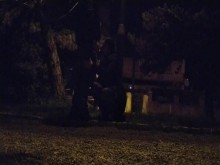 Puta lidia con una gran polla gorda en el parque público, con correa