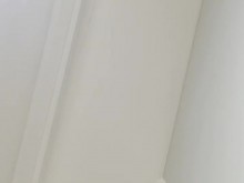 Hasta la falda, las bragas y el coño