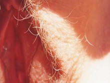 Mi coño tan cerca que casi puedes olerlo.