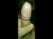 Pajarme es mi pasatiempo favorito