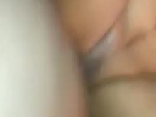 Mueve tu mano perra